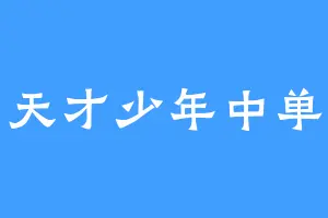 天才少年中单