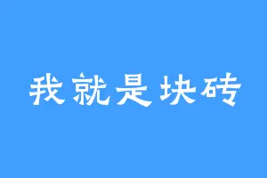 我就是块砖