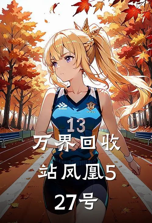 万界回收站 凤凰527号