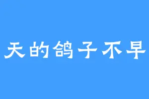 白天的鸽子不早起