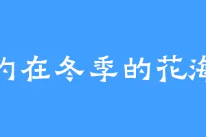 就约在冬季的花海吧