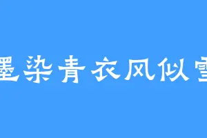 墨染青衣风似雪