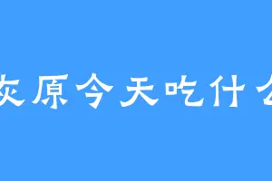 灰原今天吃什么