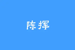 陈挥