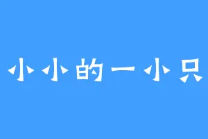 小小的一小只