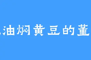 爱吃油焖黄豆的董亚茹